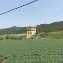 북동 배수장 Daum카페