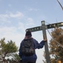 대전둘레산길(1구간) | 출발은 호기롭게 대전 1구간 둘레산길 오도산 그곳에서 퍼졌다ㅠㅠ