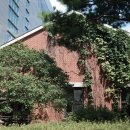 (주)오월에숲 | 영등포 카페 커피리브레, 타임스퀘어 맛집 오월의종 솔직 후기