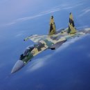 수호이 Su - 35S 전투기 다수 러시아 공군에 납품 이미지