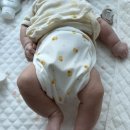 땅콩짐S | [내돈내산] 무루 땅콩천기저귀 5개월 사용 후기+밤부베베 천기저귀/천기저귀 주의사항