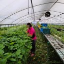 이지행정사사무소 이미지