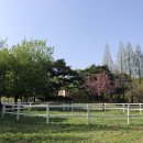 성호목장 이미지