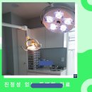 진정성레오치과의원 이미지