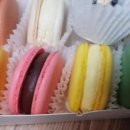 비비드마카롱 이미지