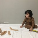 단추돌이