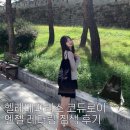 엔젤 | 헬레네파리스 코듀로이 엔젤 레터링 짐색 후기 가을 보부상 가방 추천