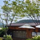 화담플라워 - 진주시 모덕로 27-5 | 35도 한여름에 방문한 화담숲 후기 숲캉스 패키지 내돈내산