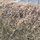 현국농장 이미지