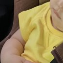 안성리-11 이미지