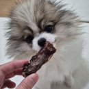 행복하개 희희멍멍 | 강아지 오래씹는 수제간식 쇼핑몰 희희멍멍 추천 오리목뼈 제품 후기