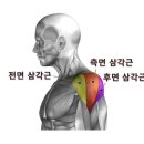 춘양삼성의원 이미지