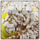 길상유통 | 마늘과 환상의 궁합 미나리 삼겹살 - 소마늘(小)