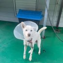 CW-0800-01 이미지