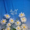 도그토피아 이미지