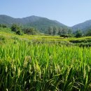 첨단기업로 이미지