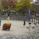 축동초등학교 이미지