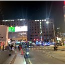 이태원 세계음식거리 | 이태원 핫플 데이트 놀거리 많은 멕시칸 타코 라운지바 이태원세계음식거리 카사쿠엘보 (CASA CUERVO)