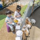 오세르키즈앤패밀리풀빌라 이미지