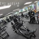 가오짐 피티샵 이미지