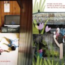 어른을 위한 그림책 테라피 네이버블로그
