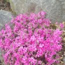 하기동경로당 이미지