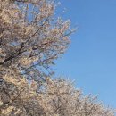 하방천변길 이미지