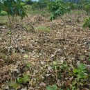 정병석농장 이미지