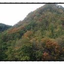 단풍흑염소 농장 이미지