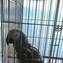 함열 농장 이미지