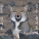 우리하숙 - 동대문구 전농로2가길 9-1 | 우리하숙