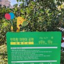 안지랑 어린이공원 이미지