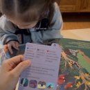 메가베스트주식회사 | [공구예고] 영재의 책장 쏘맘 단독 한정수량 오픈! 4-6세 창작