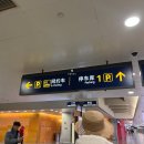 풍무로 택시승차장주변 | 중국 상하이 여행 푸동공항 디디택시 사용법