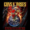Guns N&#39; Roses 20250501 송도달빛축제공원 이미지