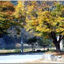 (주)아프리카박물관 이미지