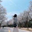 (유)에스에이아이 네이버블로그