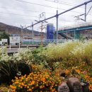 대가복궁 이미지