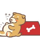 황가냉면 네이버블로그