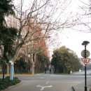 중산빌딩(중산학원) 이미지