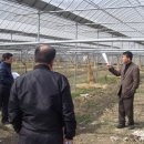 영길농장 이미지