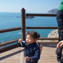 욕지 출렁다리 이미지