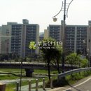 신기서길 이미지