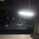 더노벰버라운지 고대점 이미지