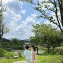 영상테마파크&청와대세트장 이미지