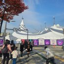 11월 공연 태양의 서커스 쿠자 후기│엄마랑 또 와야지