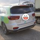 형지농장 이미지