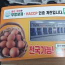 좋은계란할인점 이미지