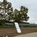 코스모스 산업 | 성남 에어쇼 ADEX후기, 코스모스 구경을 곁들이기, 준비물 팁 ⭐️