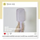 젖은 머리에도 가능한 테무 엉킴 방지 헤어브러시 내돈내산 후기